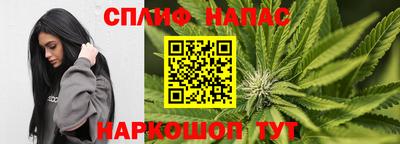 дмт Краснознаменск
