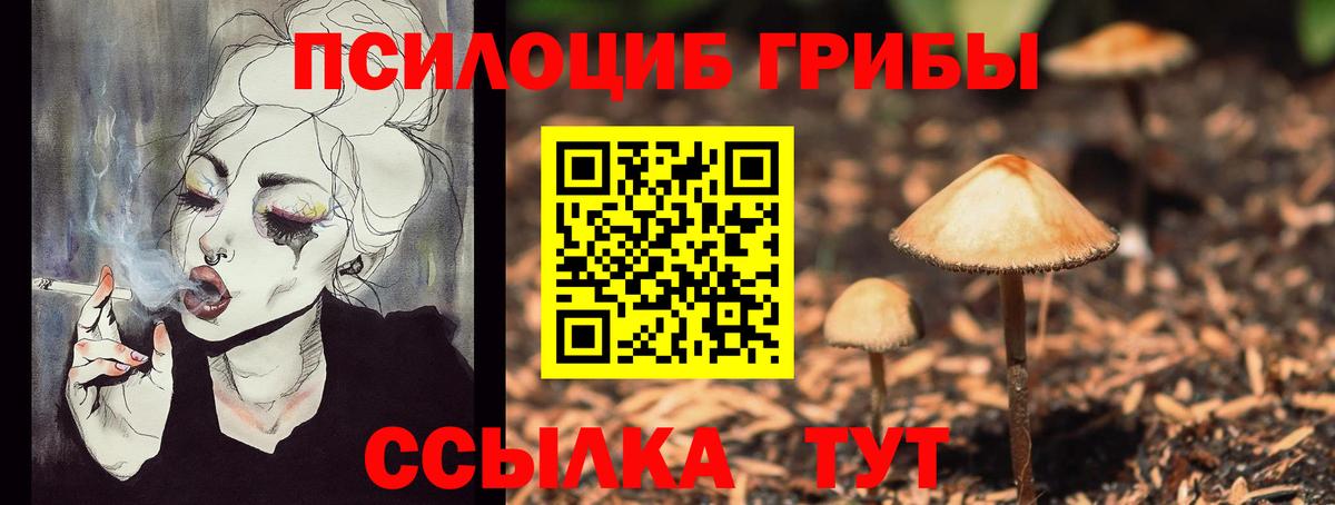 Псилоцибиновые грибы Magic Shrooms  Вход с VPN  Балашов  Псилоцибиновые грибы Psilocybine cubensis 